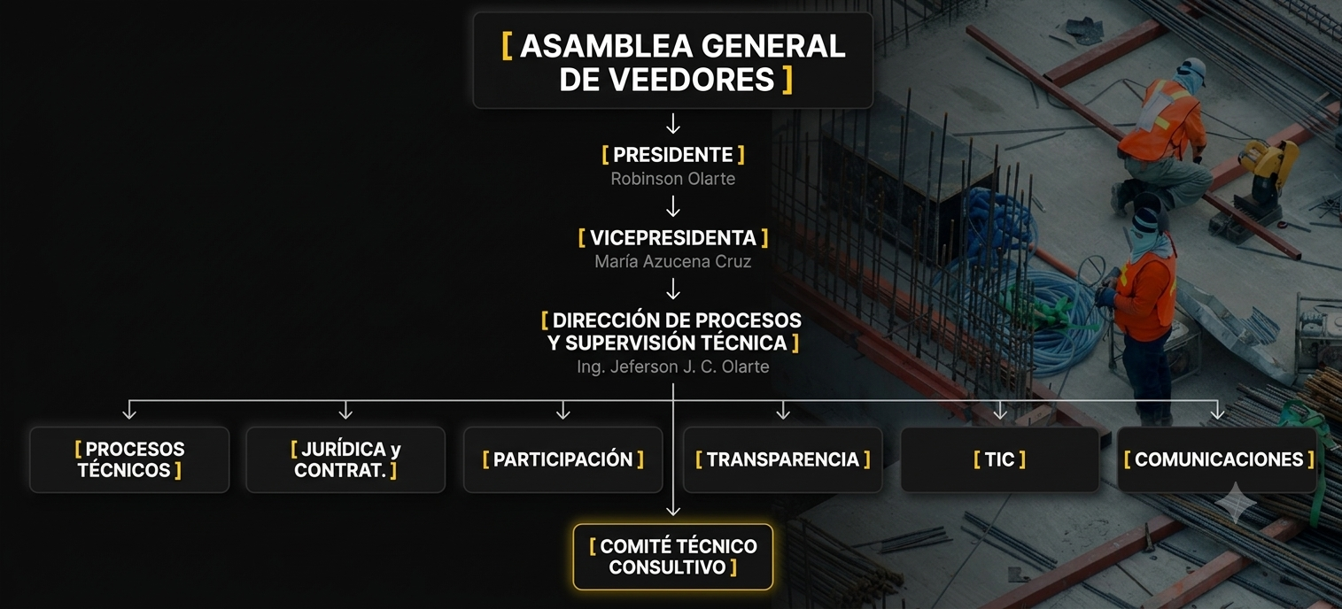 Organigrama VTC